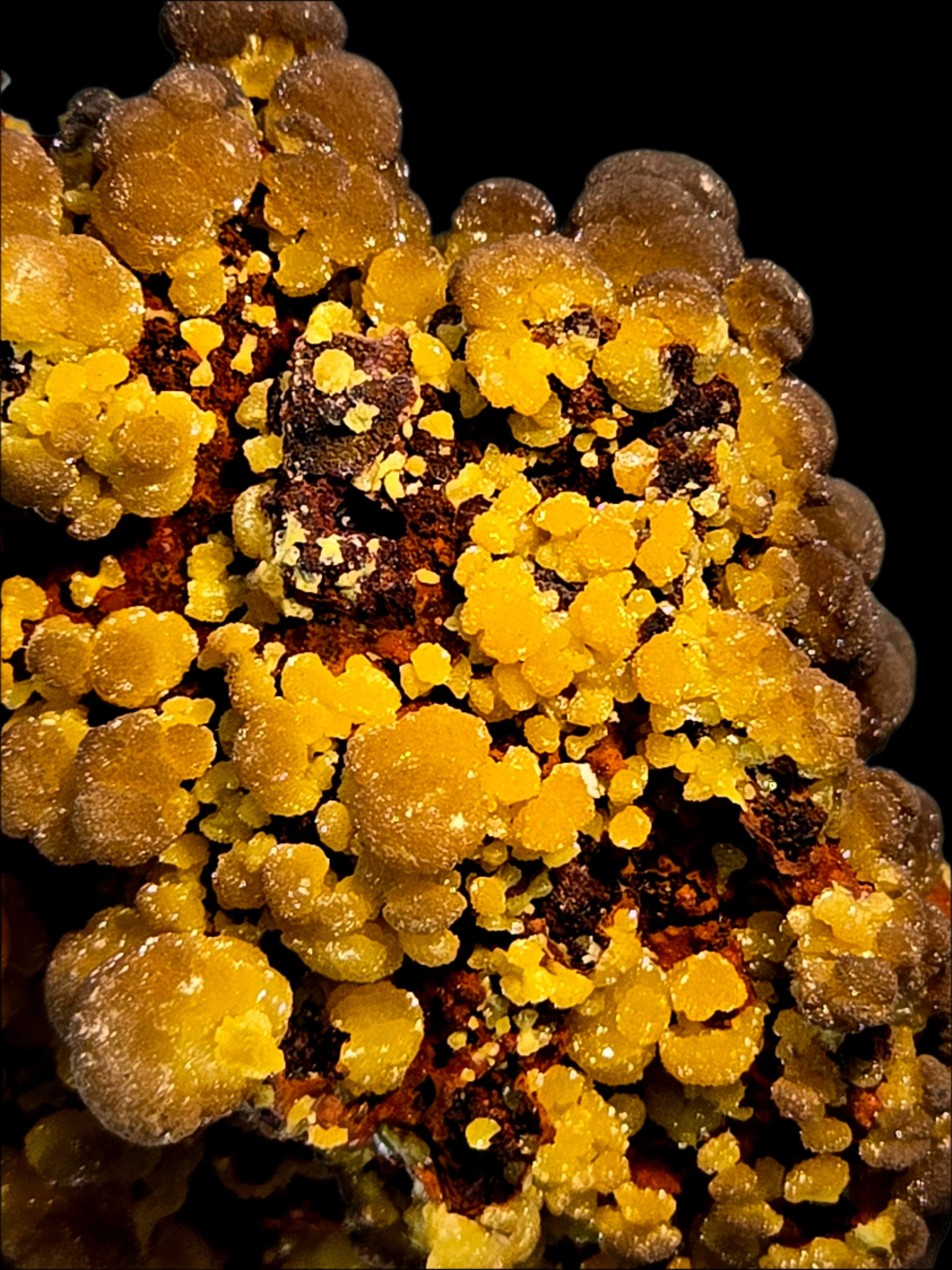 MIMETITE on LIMONITE, RHODOCHROSITE (cabinet)