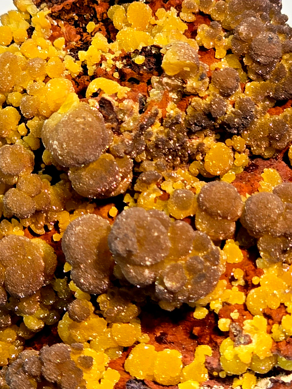 MIMETITE on LIMONITE, RHODOCHROSITE (cabinet)