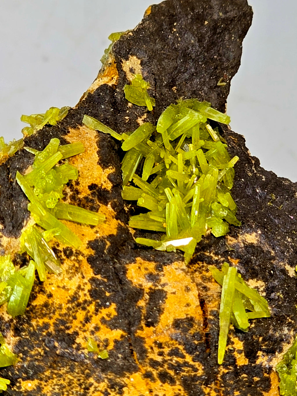 PYROMORPHITE (small cabinet)