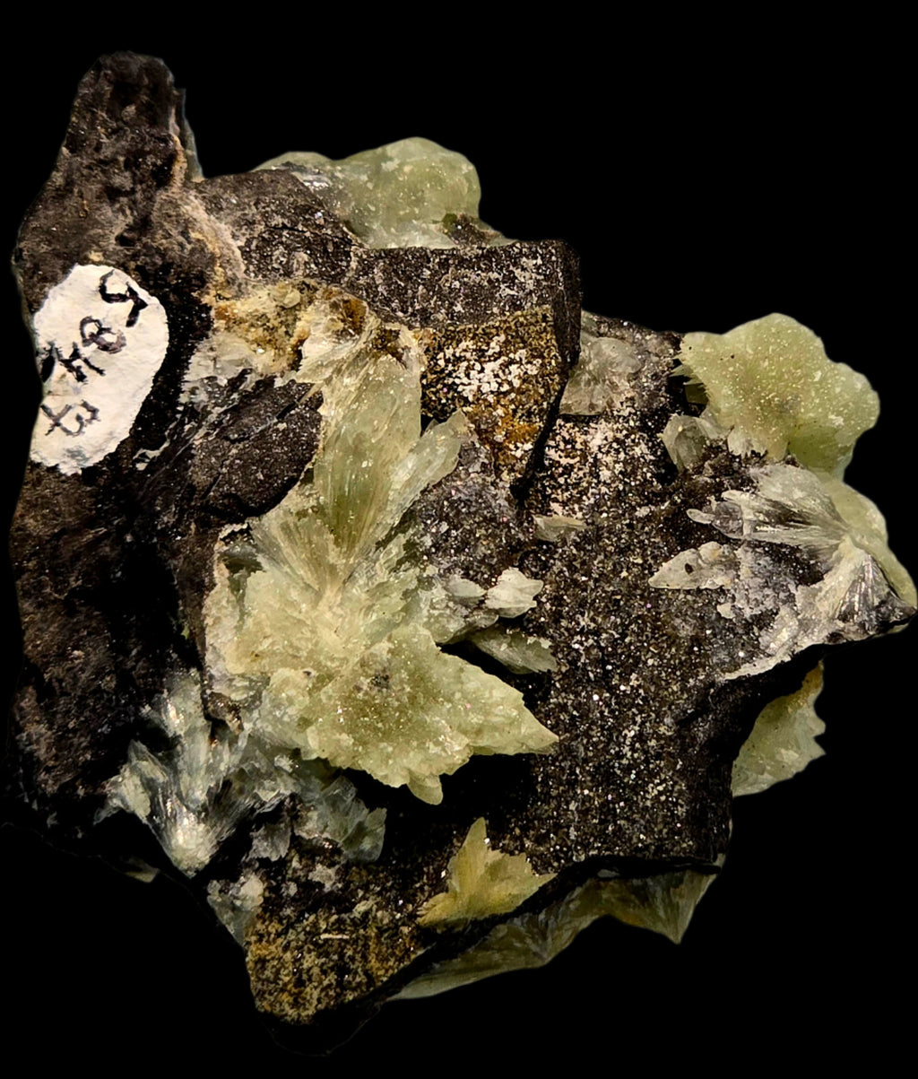 COLLINSITE (miniature)