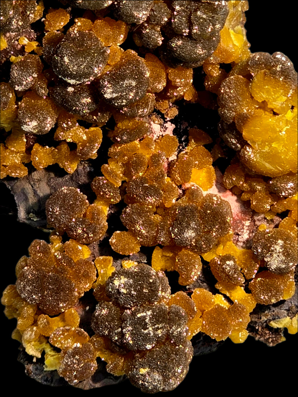 MIMETITE on LIMONITE (cabinet)