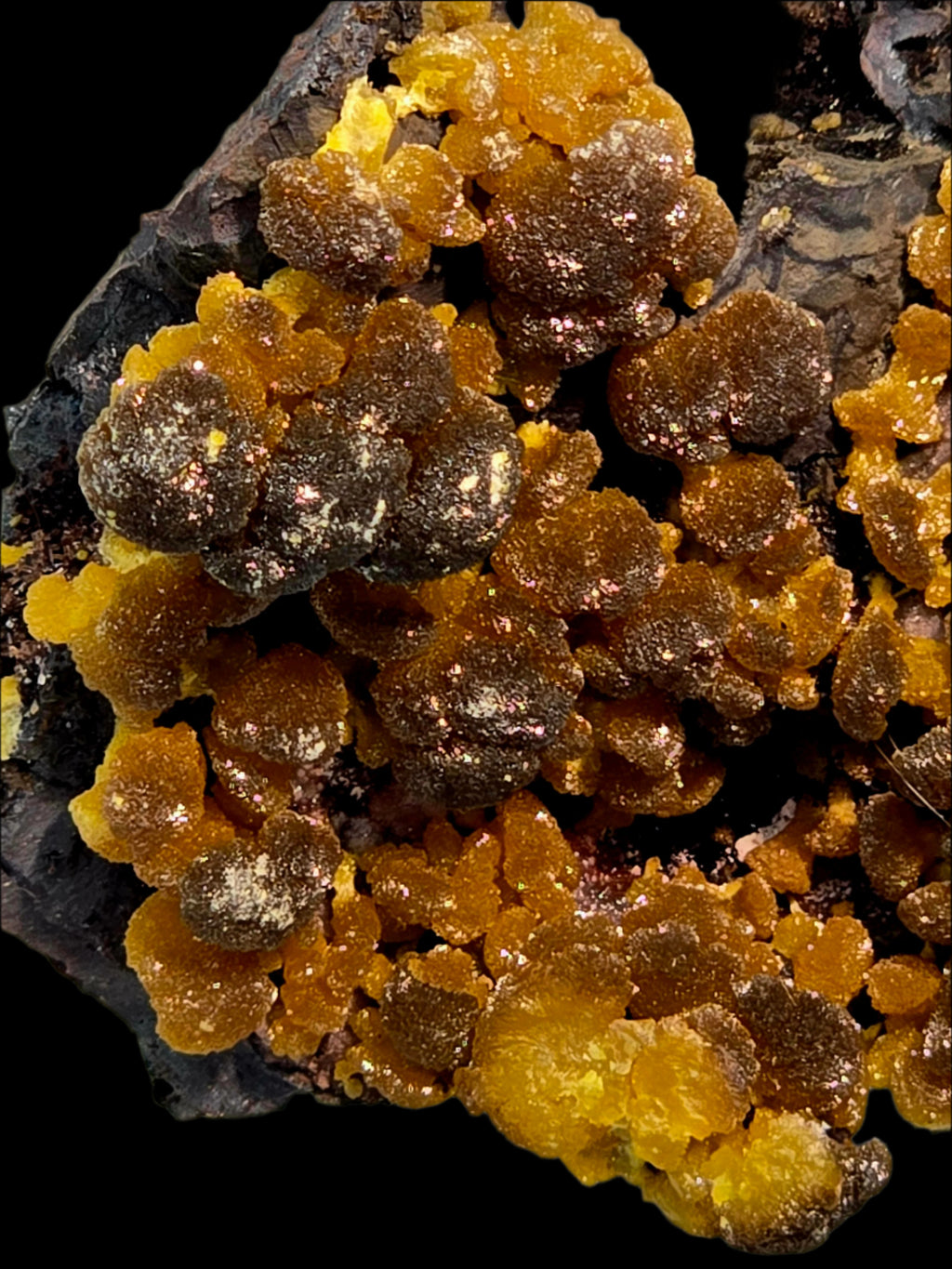 MIMETITE on LIMONITE (cabinet)