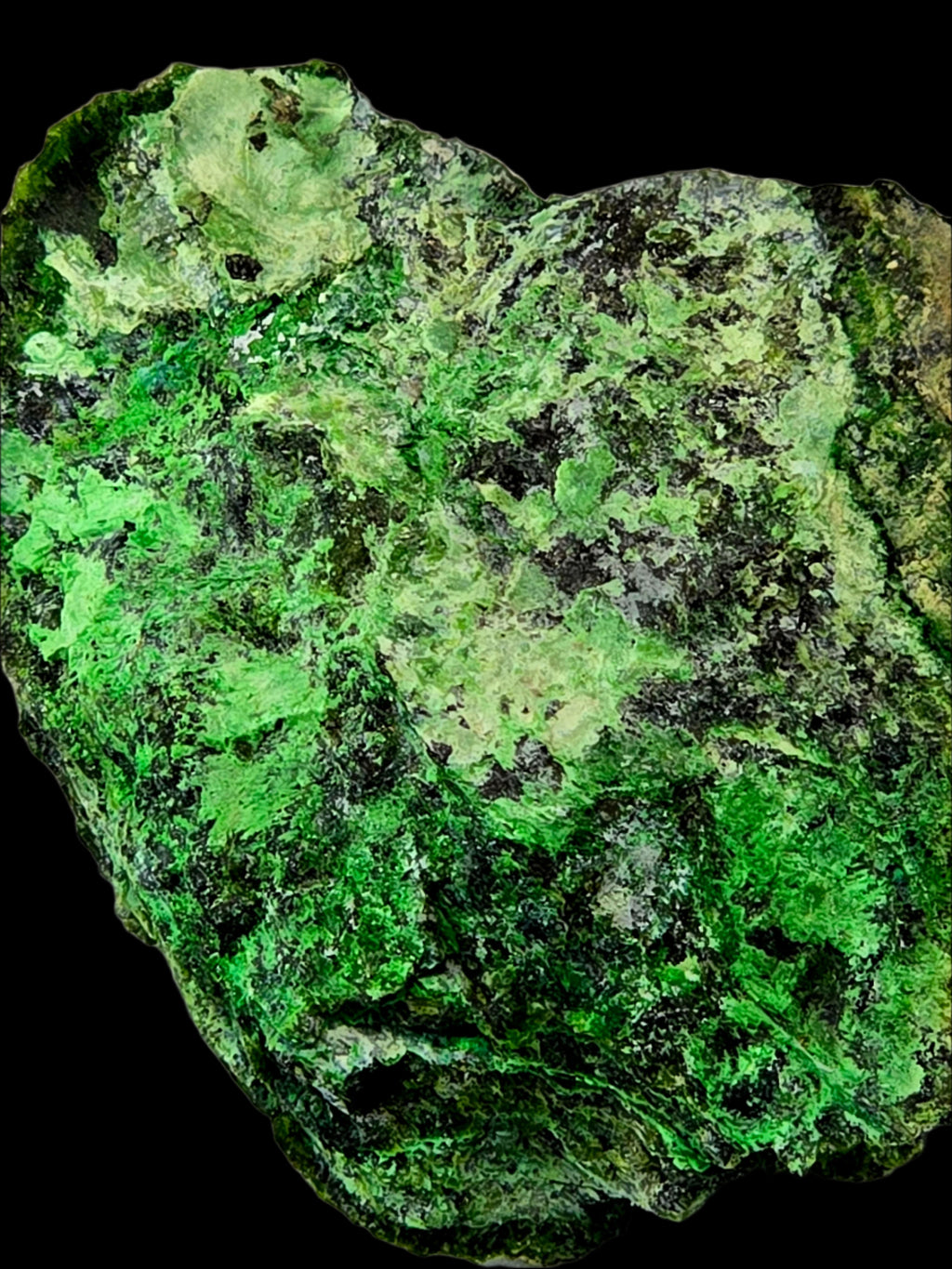 ZARATITE (small cabinet)