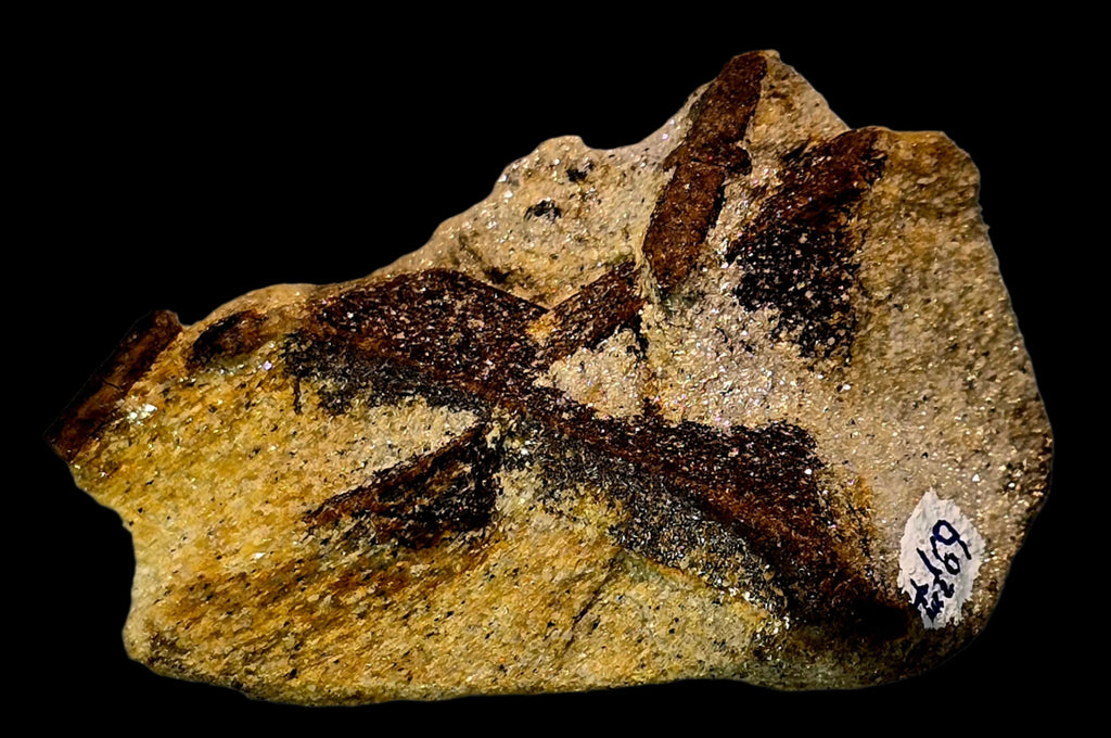 STAUROLITE, KEIVY KOLA RUSSIE (petite armoire)