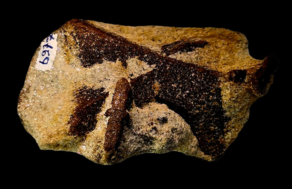 STAUROLITE, KEIVY KOLA RUSSIE (petite armoire)