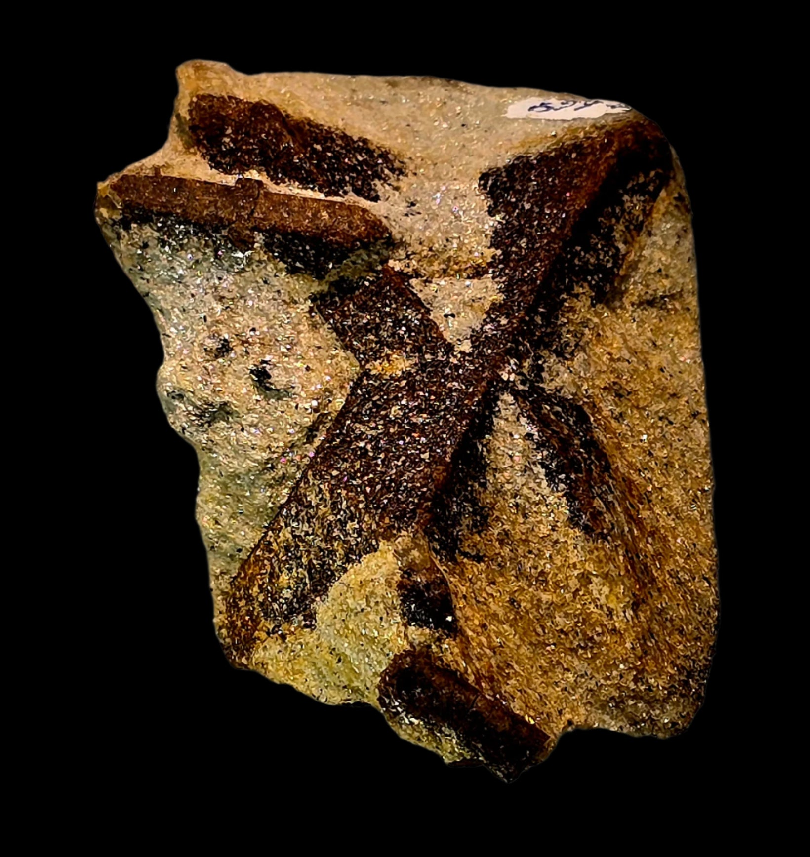 STAUROLITE (small cabinet)