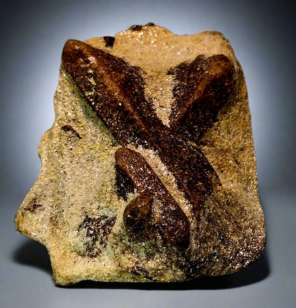 STAUROLITE (small cabinet)