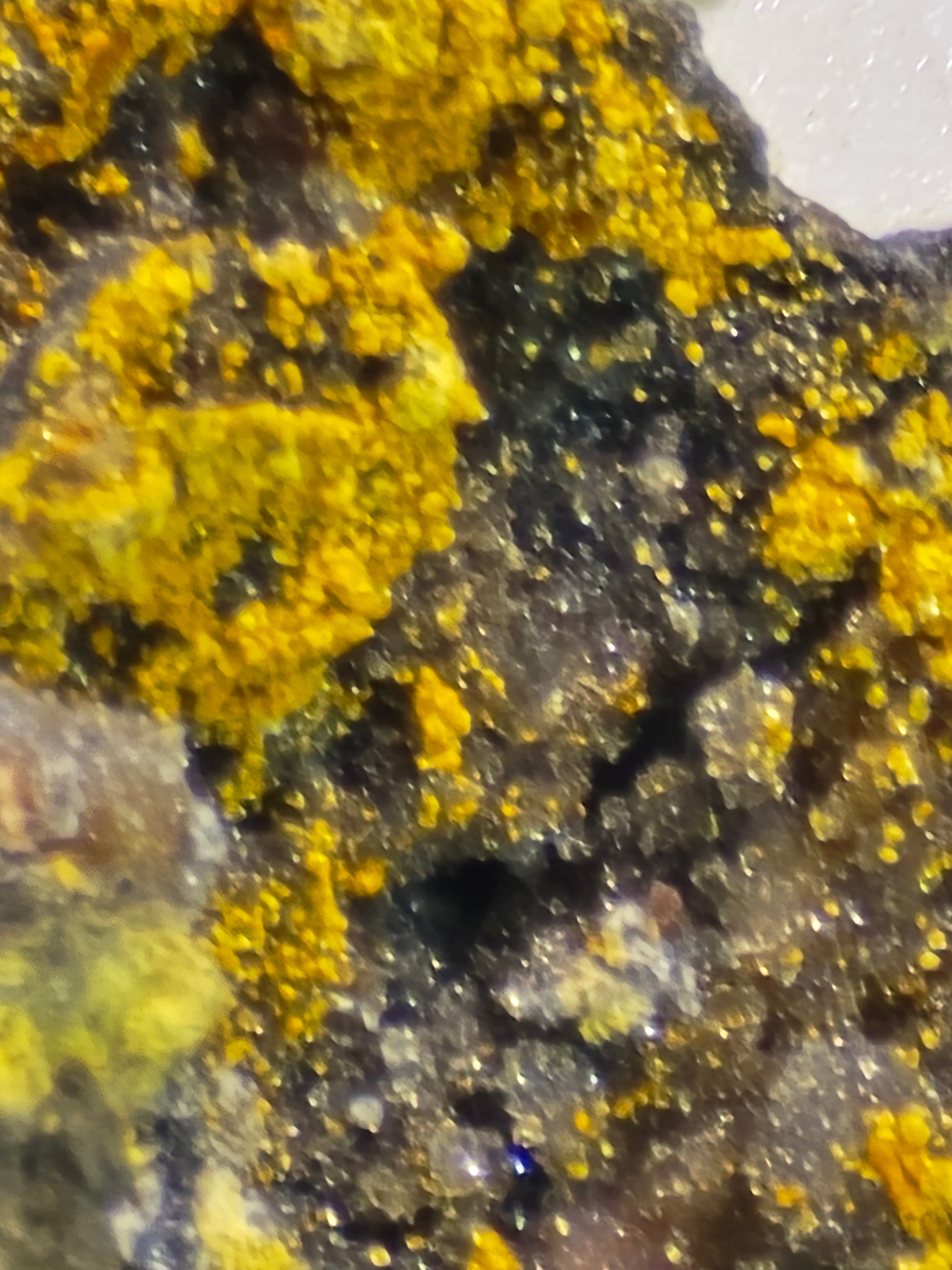 MIMETITE and WILLEMITE (miniature and micro)