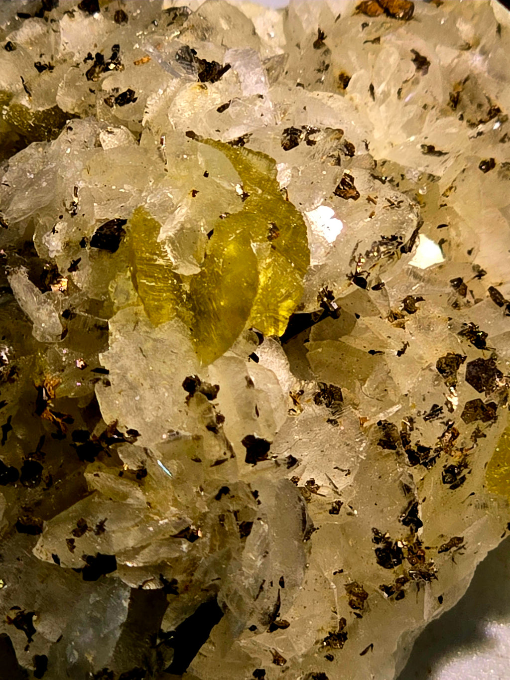 SIDERITE on DOLOMITE (small cabinet)