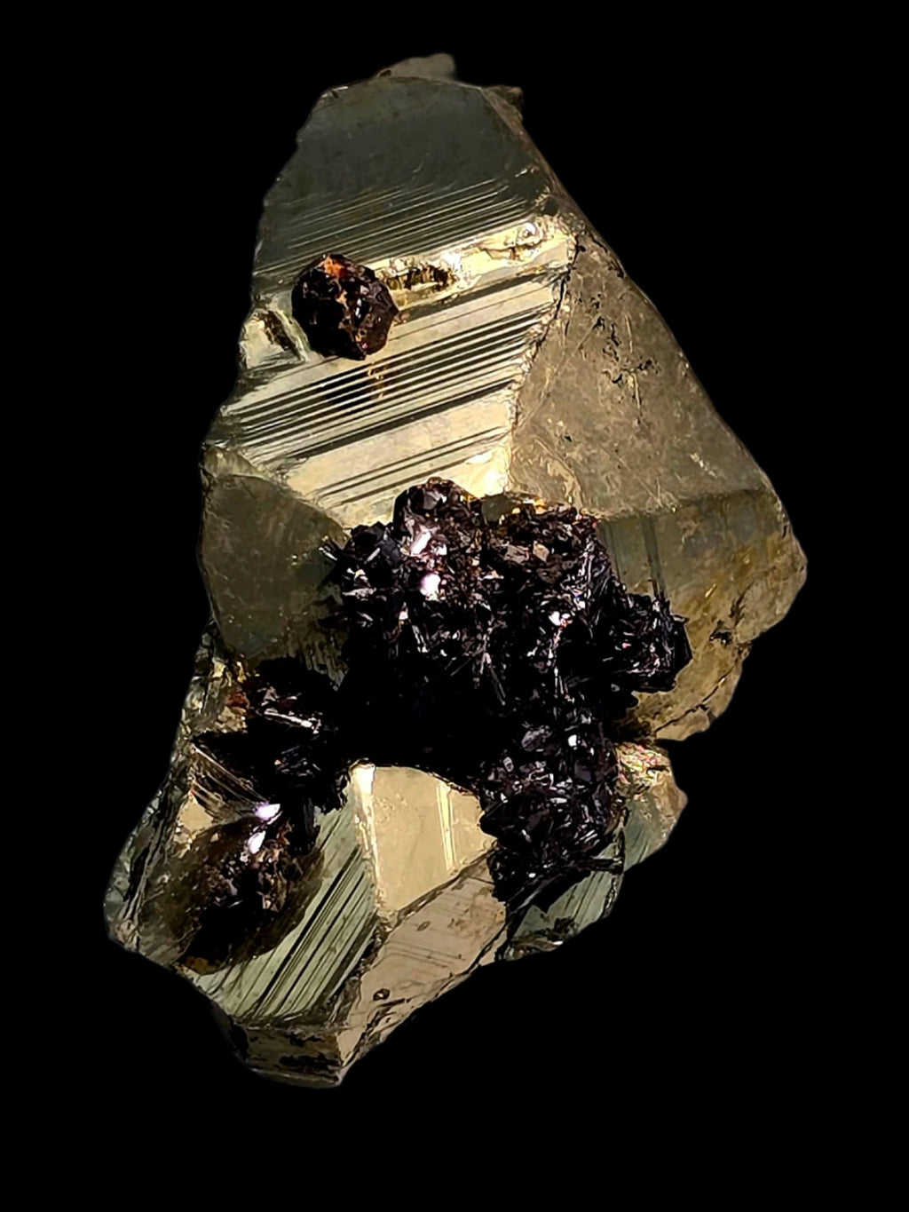 CHALCOPYRITE with GOETHITE and a single SPHALERITE CRYSTAL SMALL CABINET