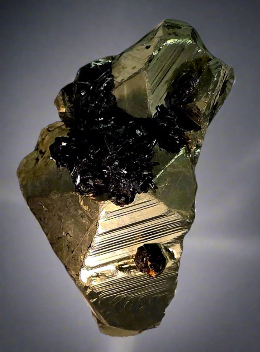 CHALCOPYRITE with GOETHITE and a single SPHALERITE CRYSTAL SMALL CABINET