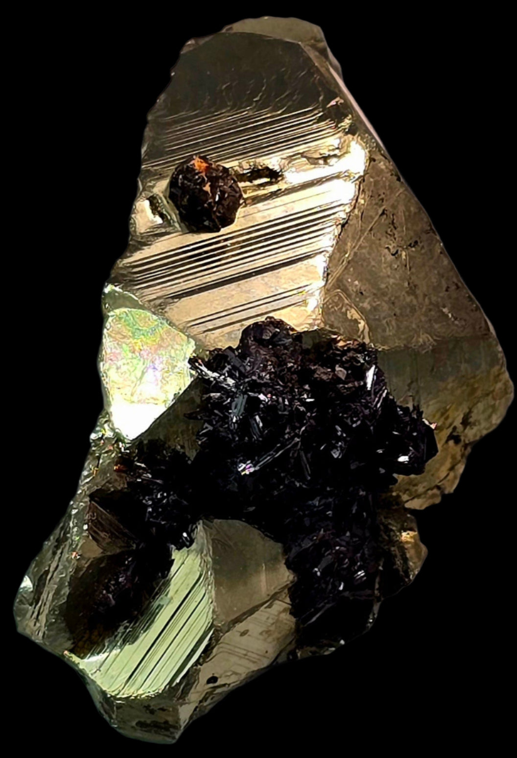 CHALCOPYRITE with GOETHITE and a single SPHALERITE CRYSTAL SMALL CABINET