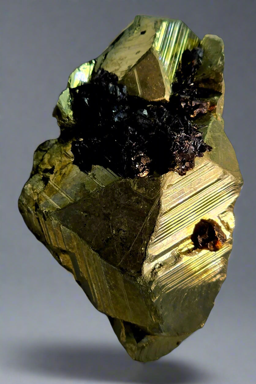 CHALCOPYRITE with GOETHITE and a single SPHALERITE CRYSTAL SMALL CABINET