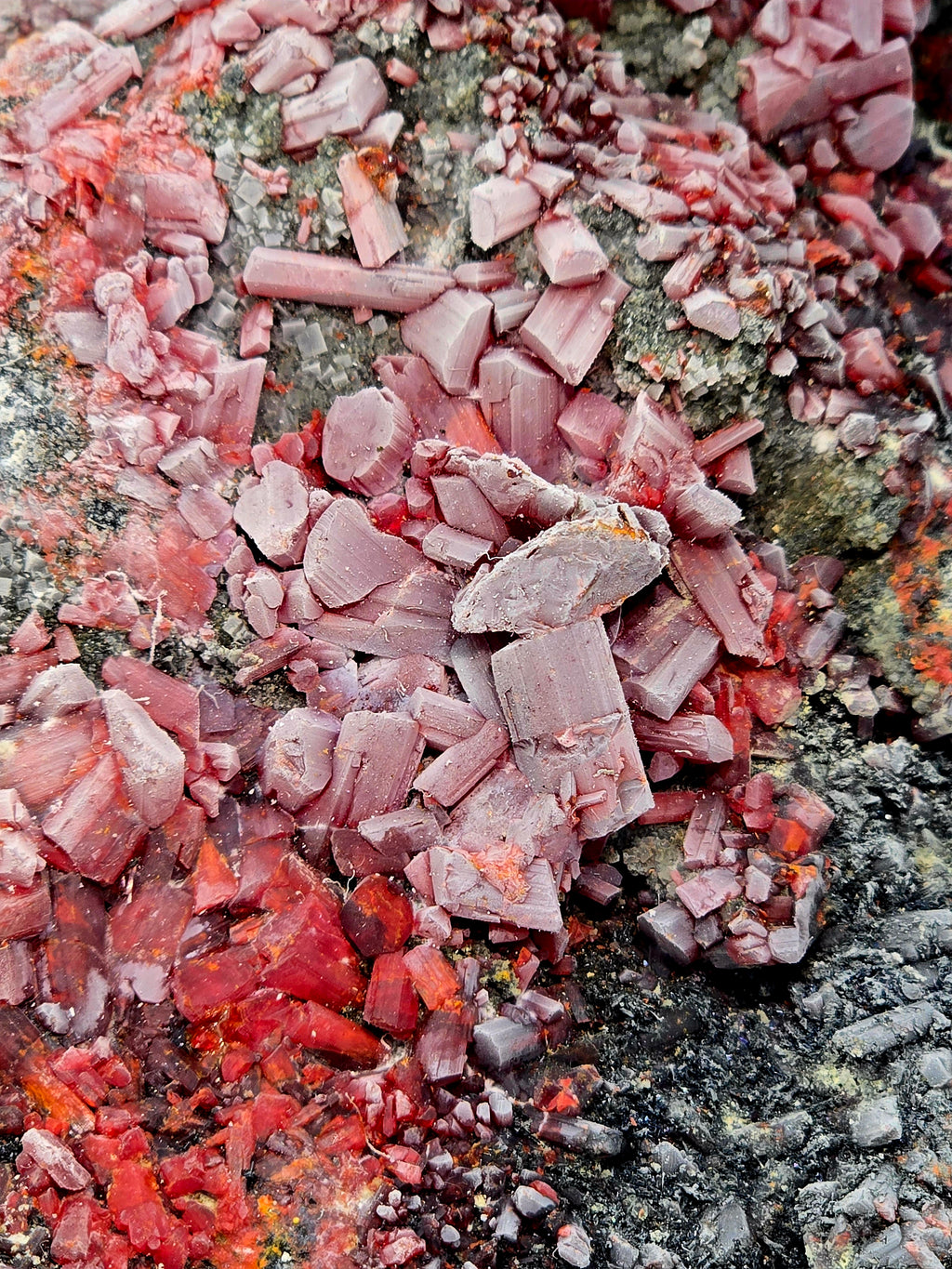 REALGAR (large cabinet)