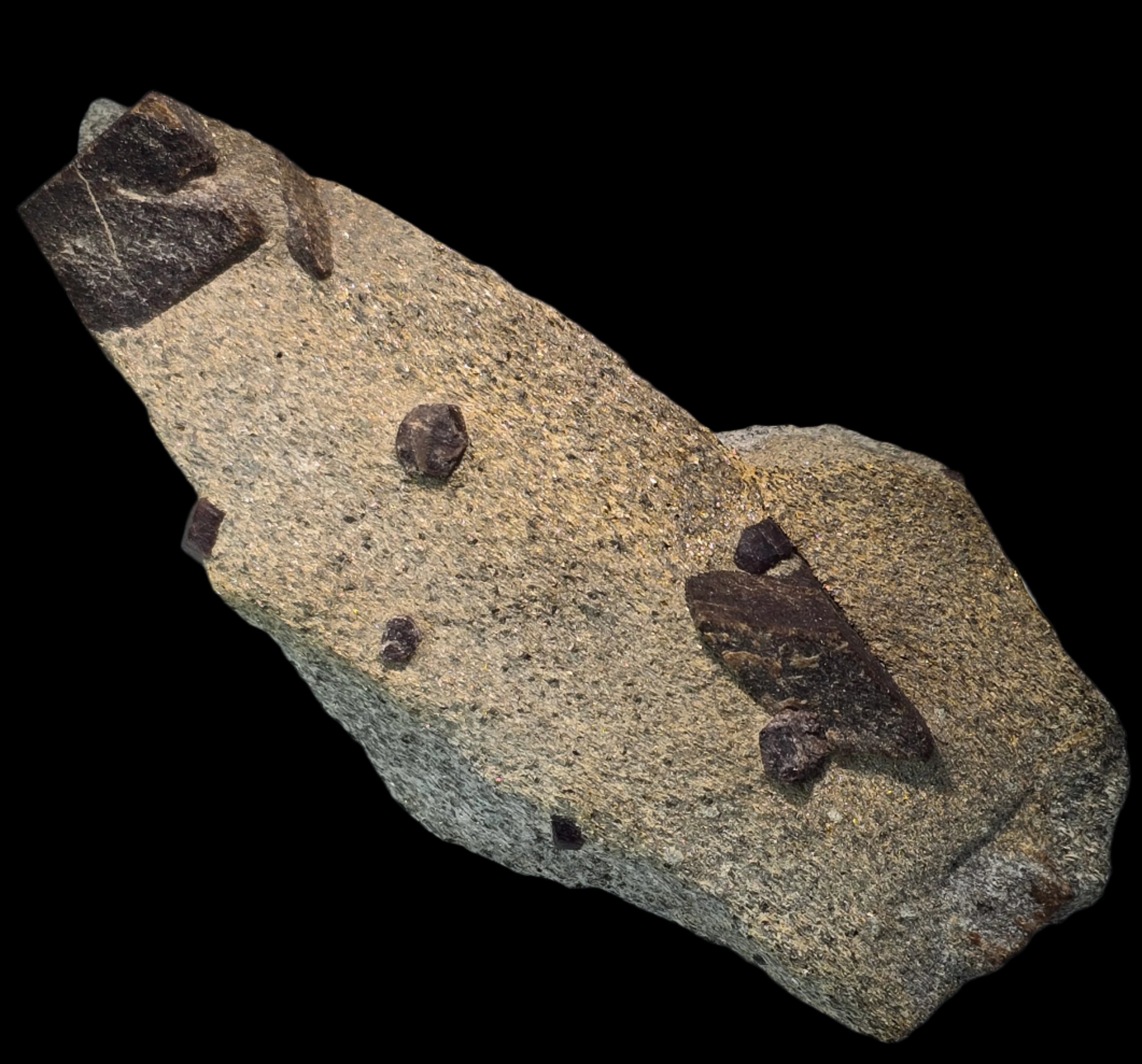 STAUROLITE with ALMANDINE GARNET, Pond Hill near Pearl Lake Lisbon New Hampshire USA (large cabinet)