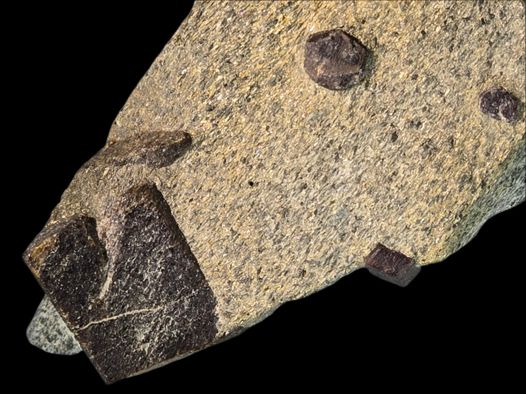 STAUROLITE with ALMANDINE GARNET, Pond Hill near Pearl Lake Lisbon New Hampshire USA (large cabinet)