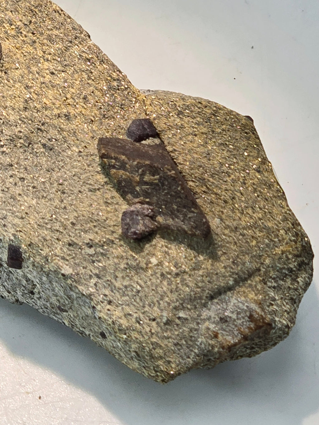 STAUROLITE with ALMANDINE GARNET, Pond Hill near Pearl Lake Lisbon New Hampshire USA (large cabinet)