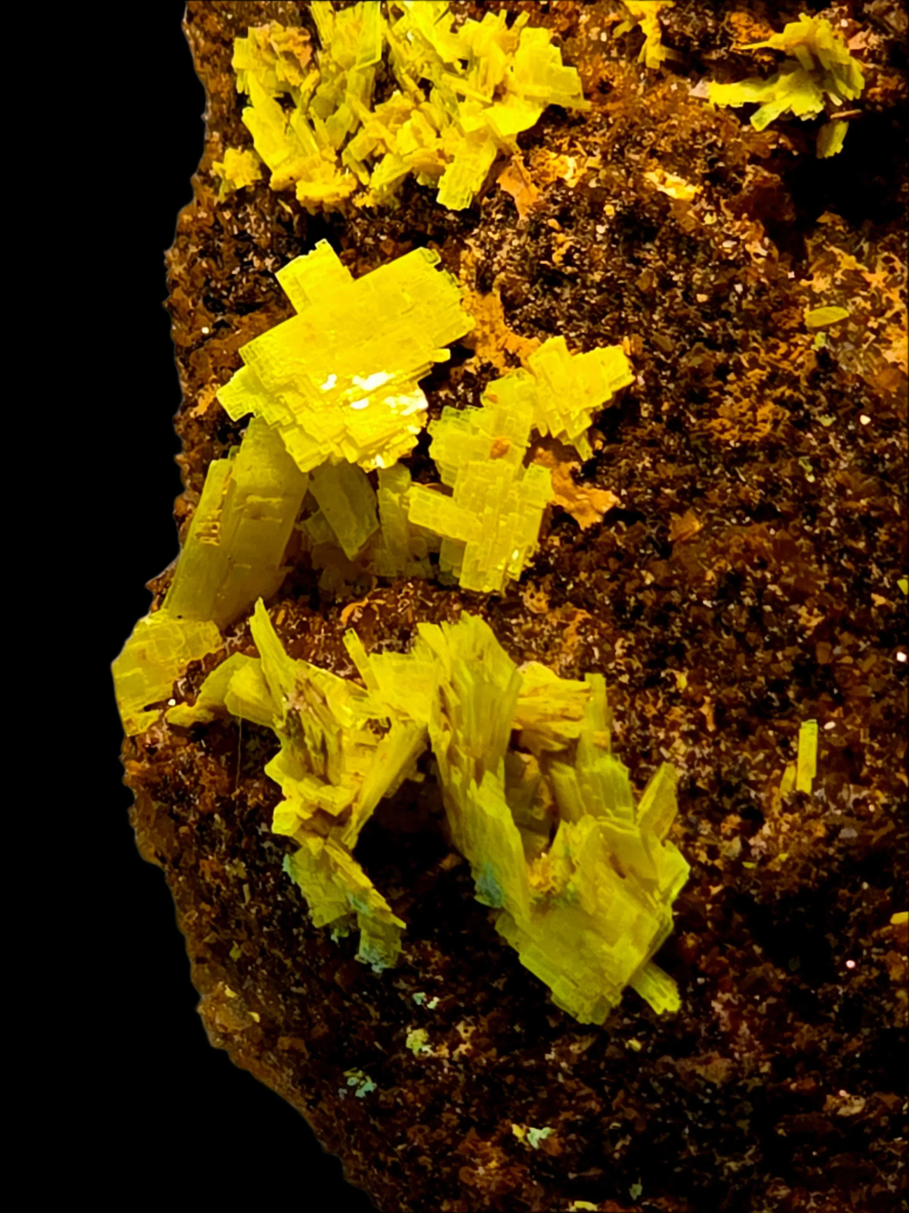 Vibrant yellow sulfur crystals on matrix, mineral specimen for collectors