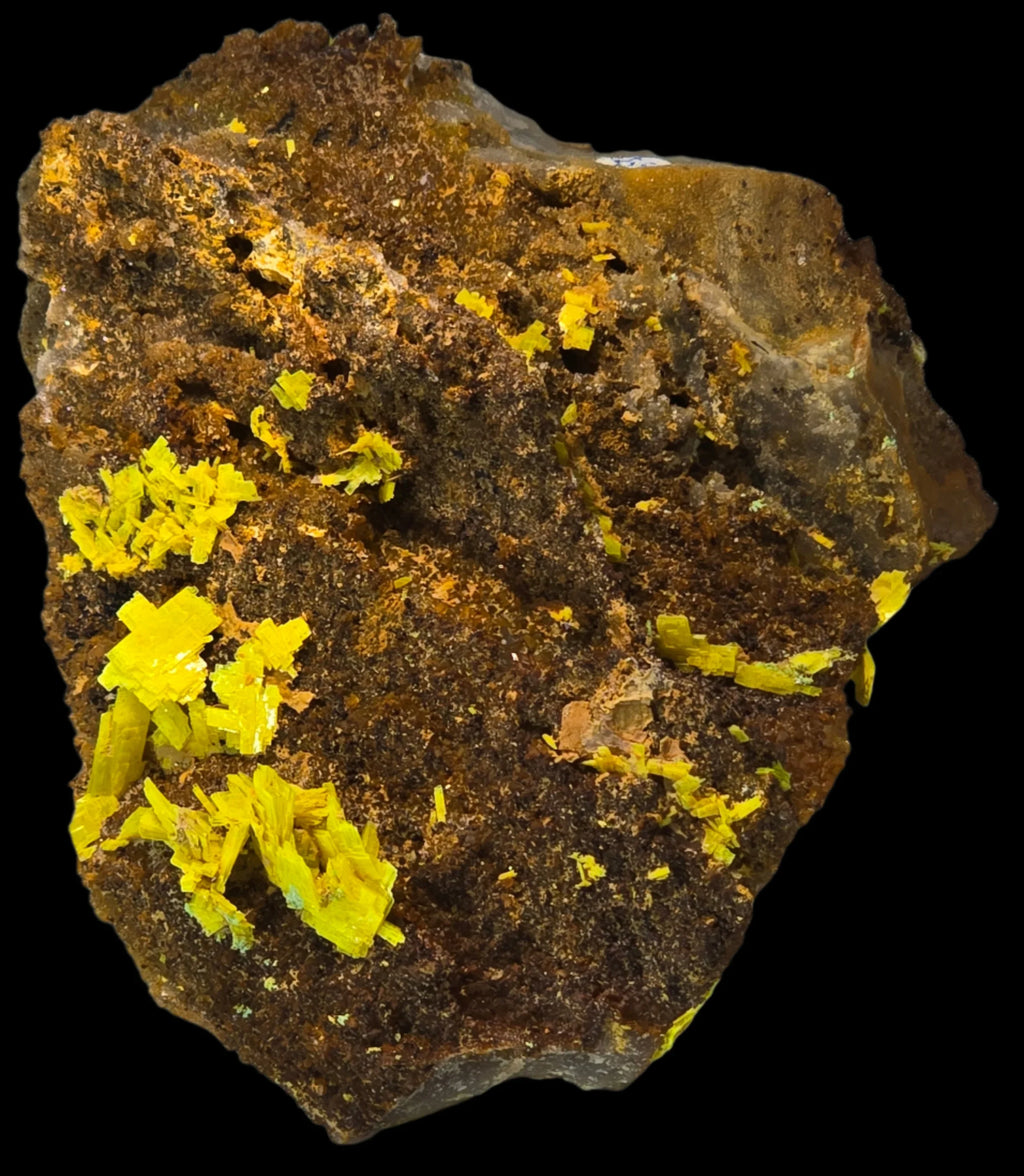 Vibrant yellow sulfur crystals on matrix, mineral specimen for collectors