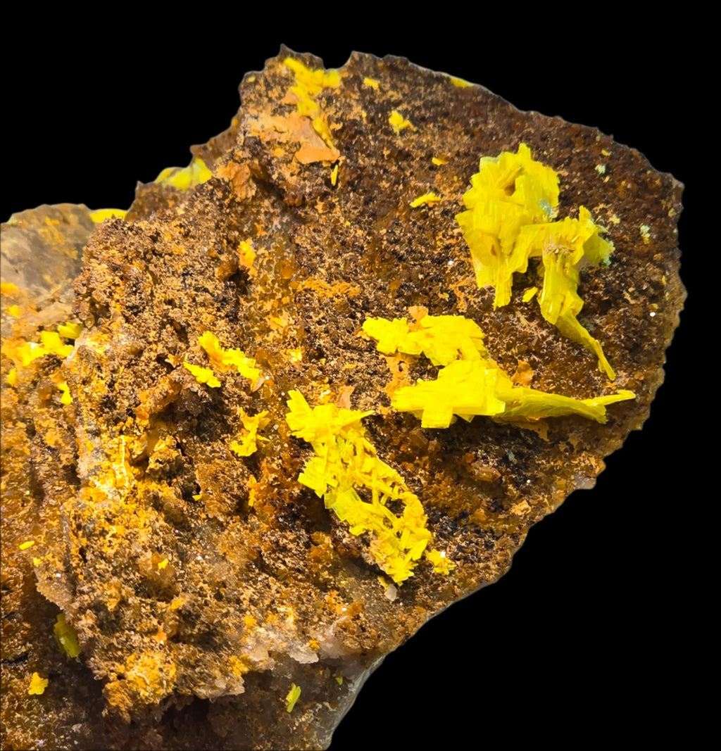 Vibrant yellow sulfur crystals on matrix, mineral specimen for collectors