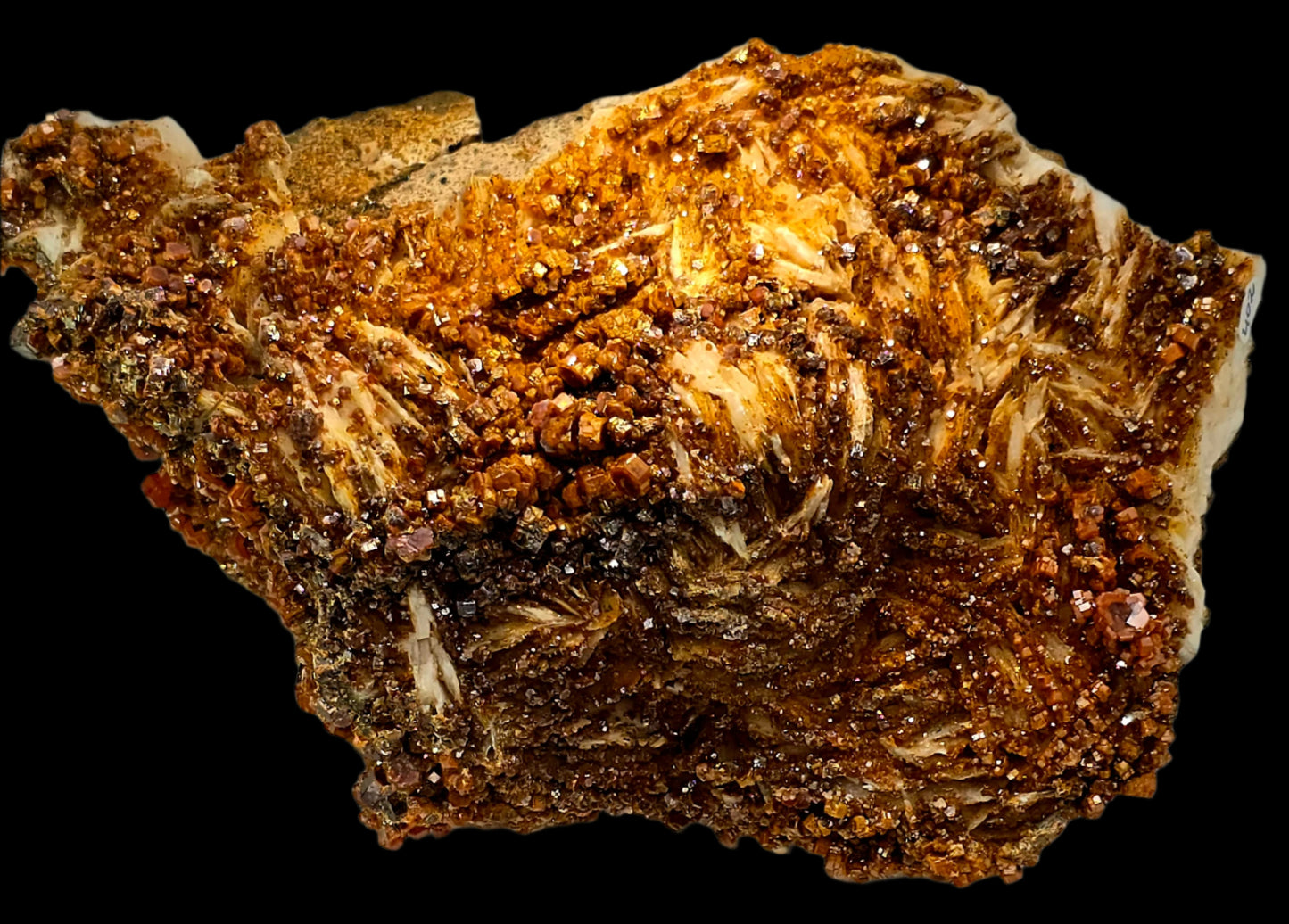 VANADINITE on BARITE (large cabinet)