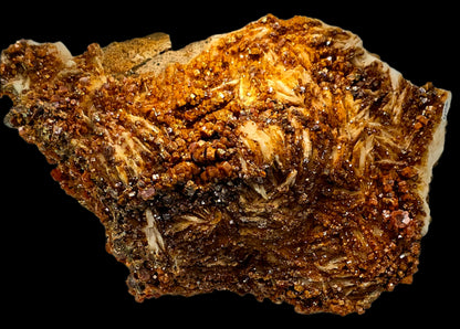 VANADINITE on BARITE (large cabinet)