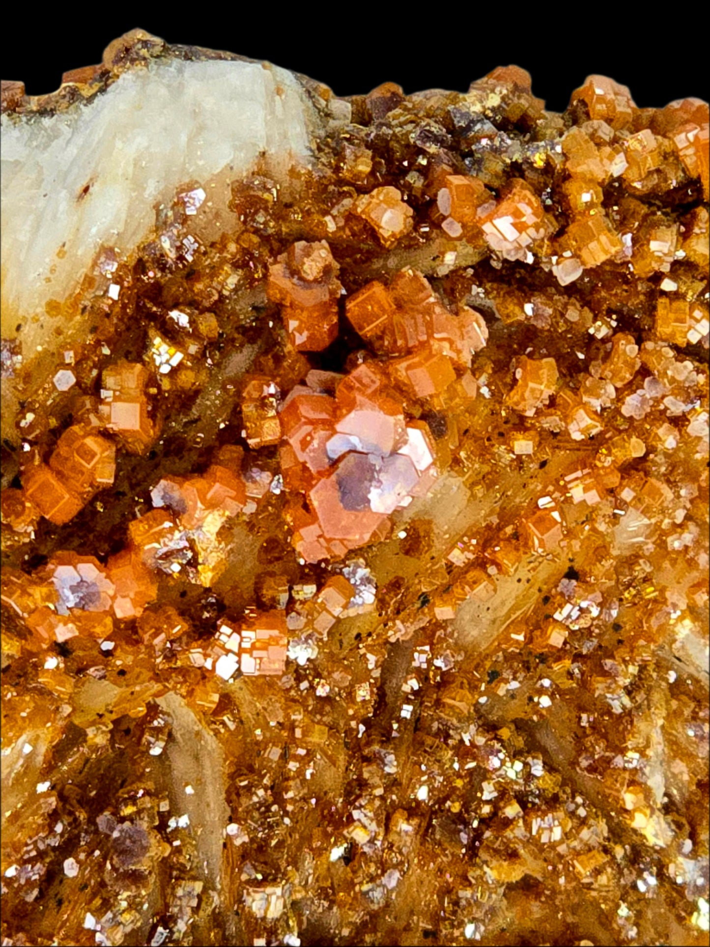 VANADINITE on BARITE (large cabinet)