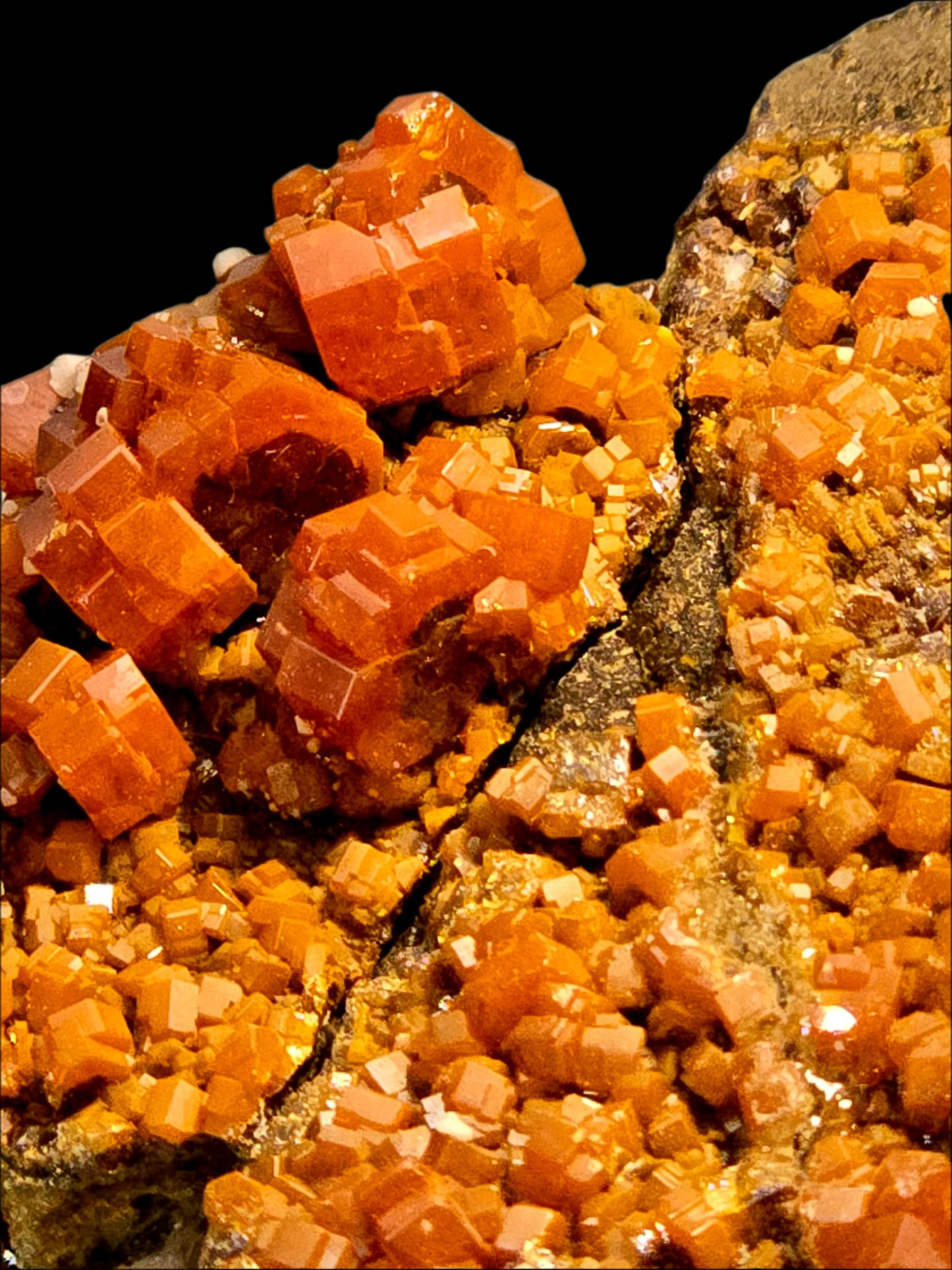 VANADINITE on BARITE (large cabinet)