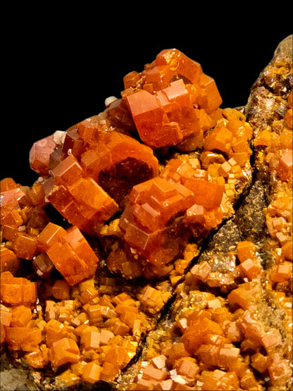 VANADINITE on BARITE (large cabinet)