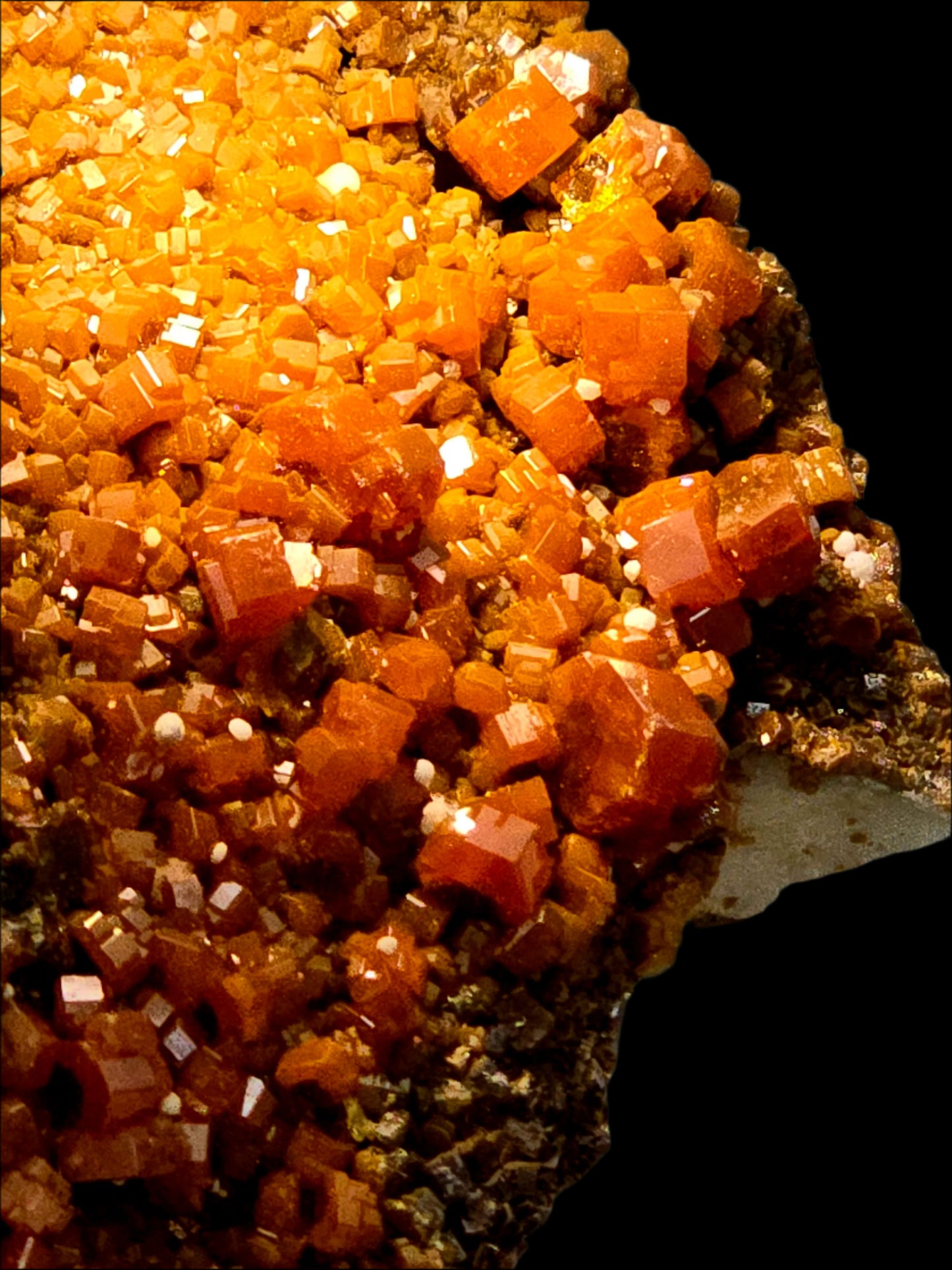 VANADINITE on BARITE (large cabinet)