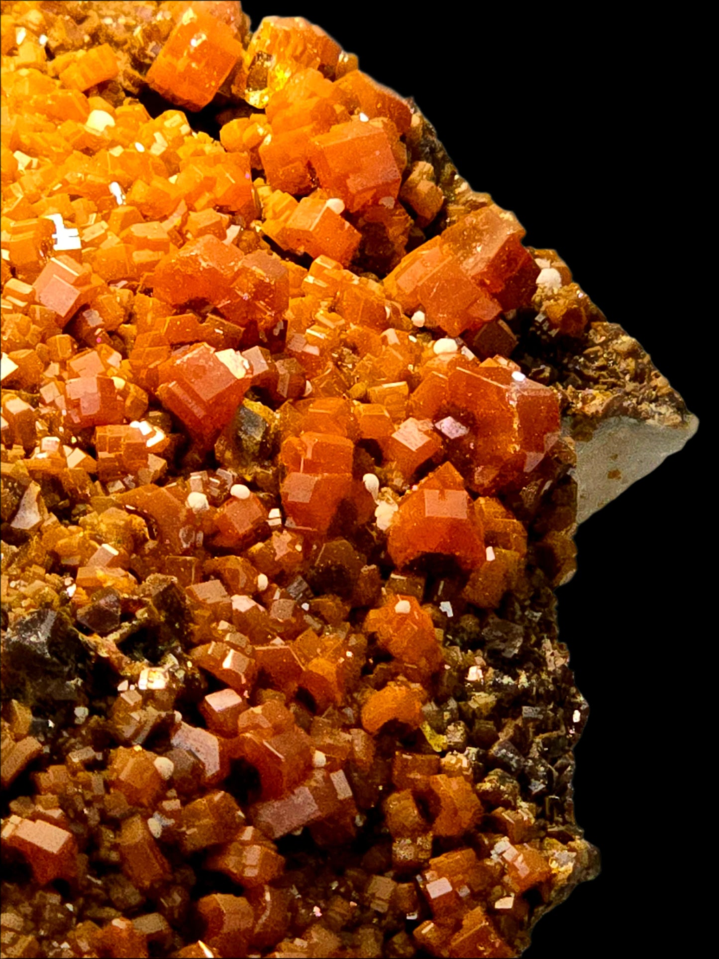 VANADINITE on BARITE (large cabinet)