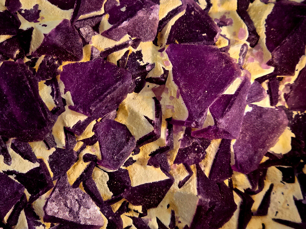 FLUORITE PURPLE (large cabinet)