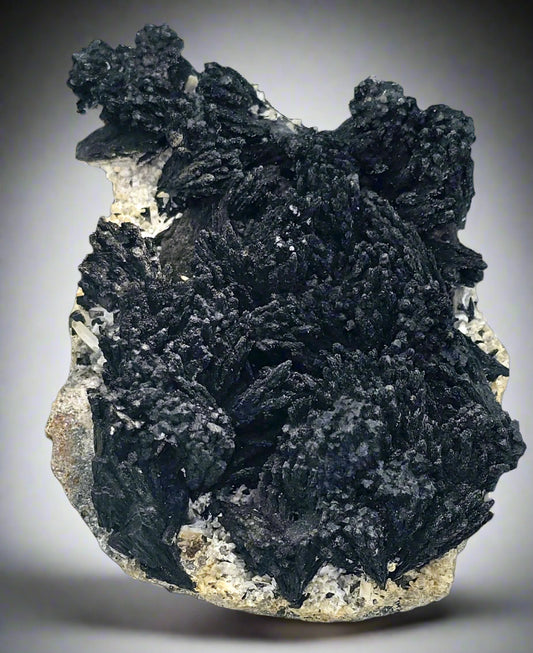 GOETHITE and QUARTZ (large cabinet)