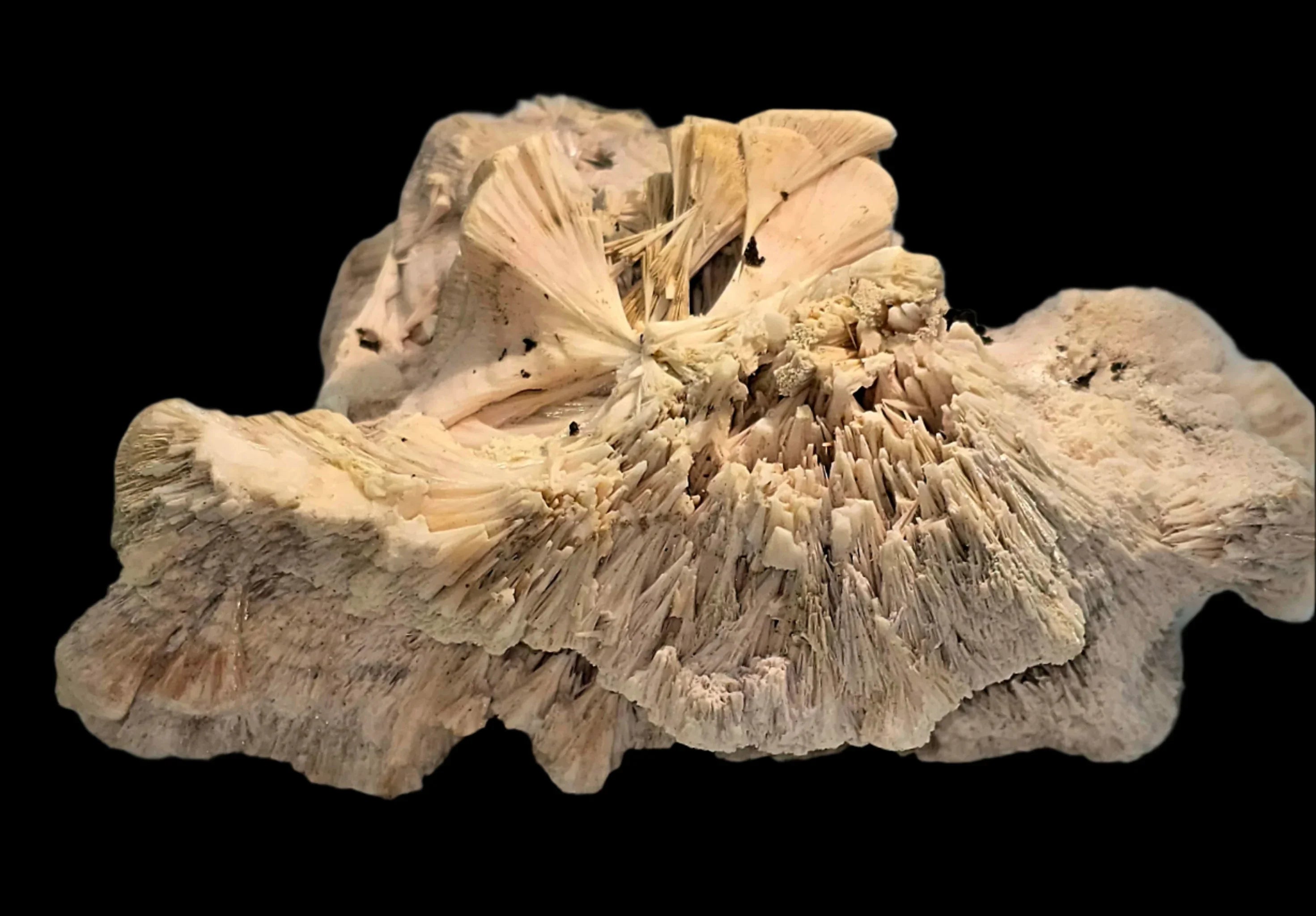 Desert Rose Crystal Specimen with Distinctive Rosette Formation and Layered Texture