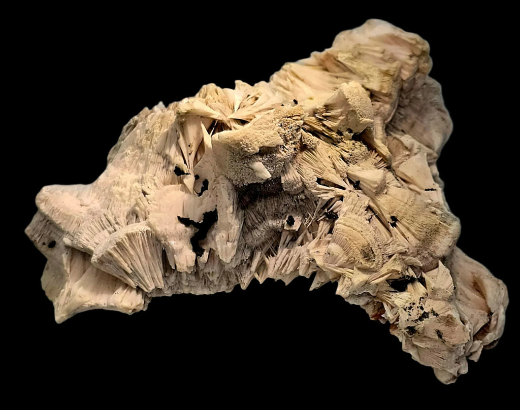 Desert Rose Crystal Specimen from Tunisia, beige layered formation with black inclusions on black background