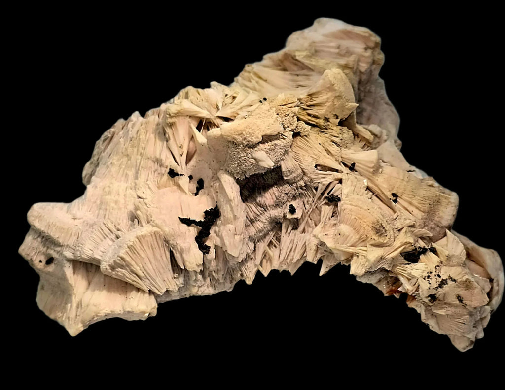 Desert Rose Crystal Specimen from Tunisia, featuring layered gypsum formations with earthy tones and natural texture