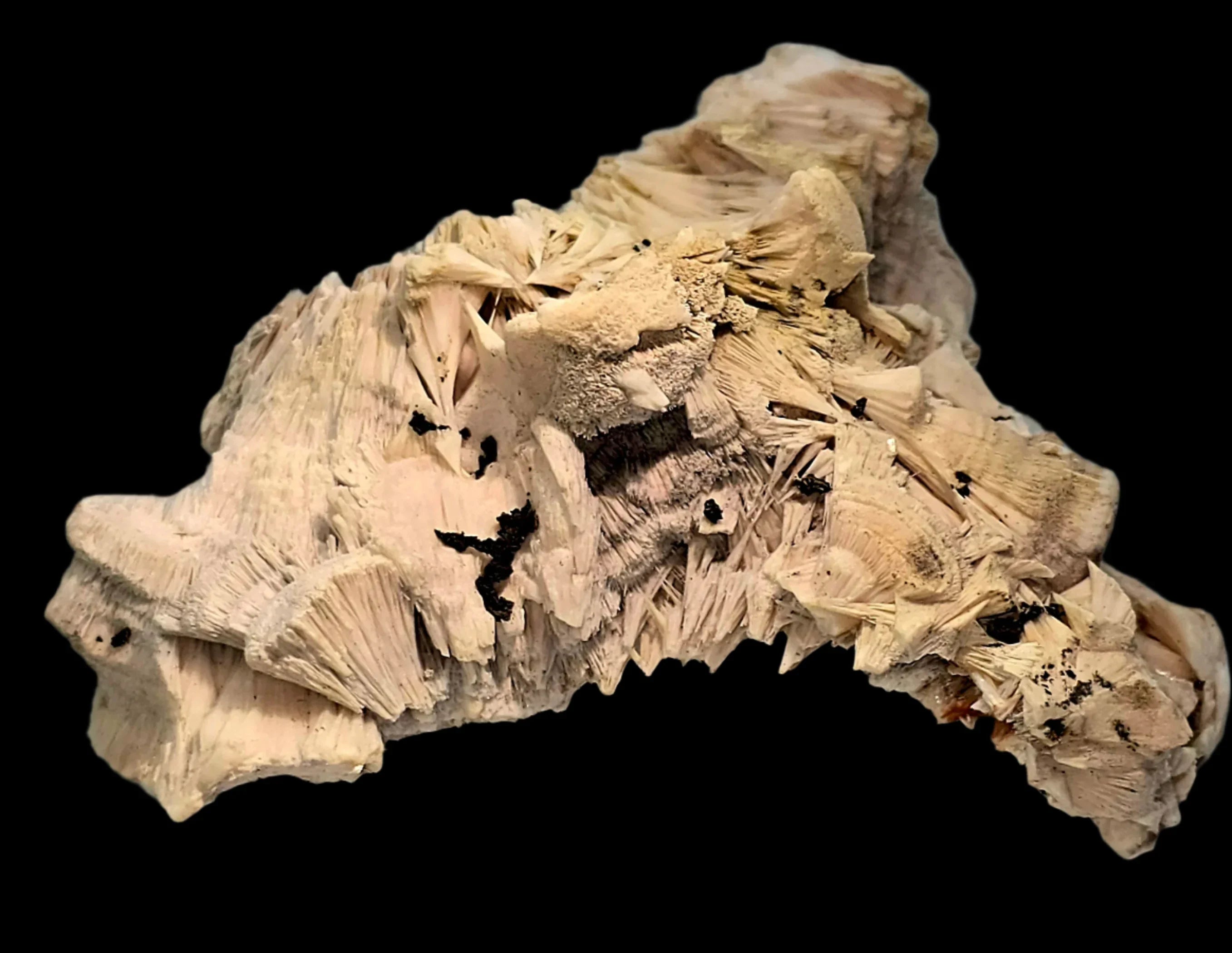 Desert Rose Crystal Specimen from Tunisia, featuring layered gypsum formations with earthy tones and natural texture