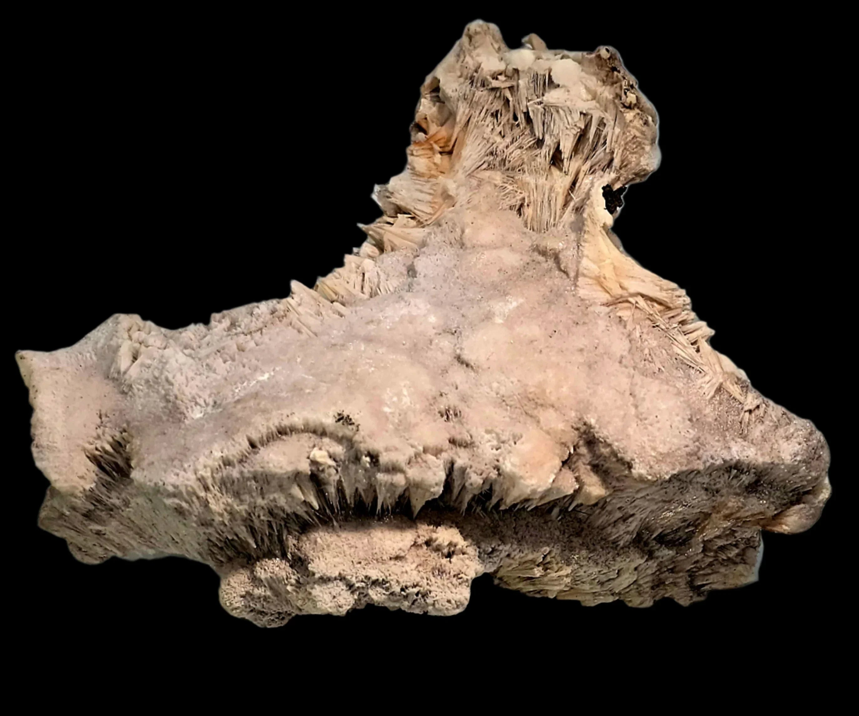 Desert Rose Crystal Specimen from Tunisia, featuring intricate gypsum rosettes and earthy tones