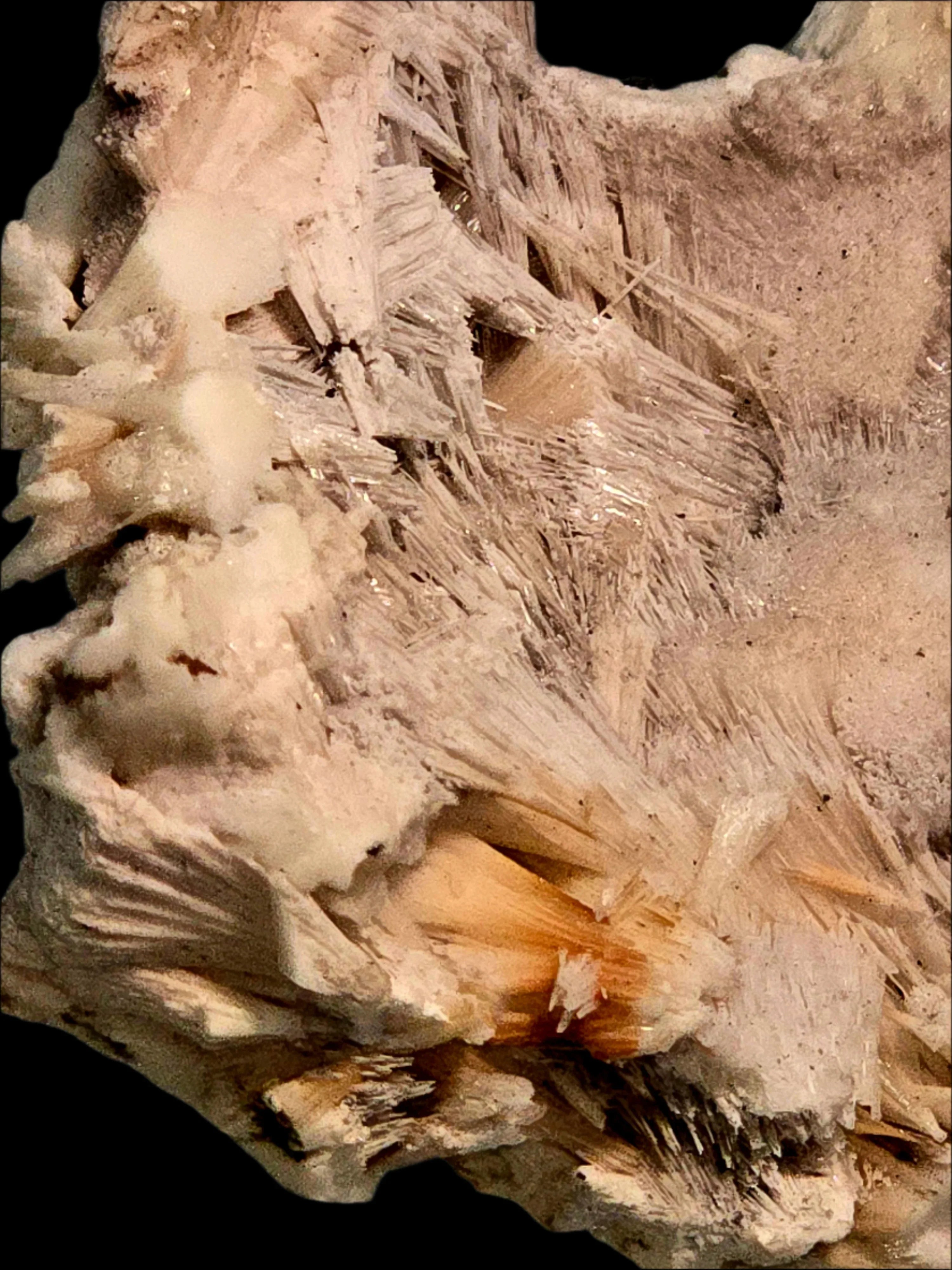 Gypsum desert rose crystal cluster from Tunisia, featuring delicate, layered formations and earthy tones.