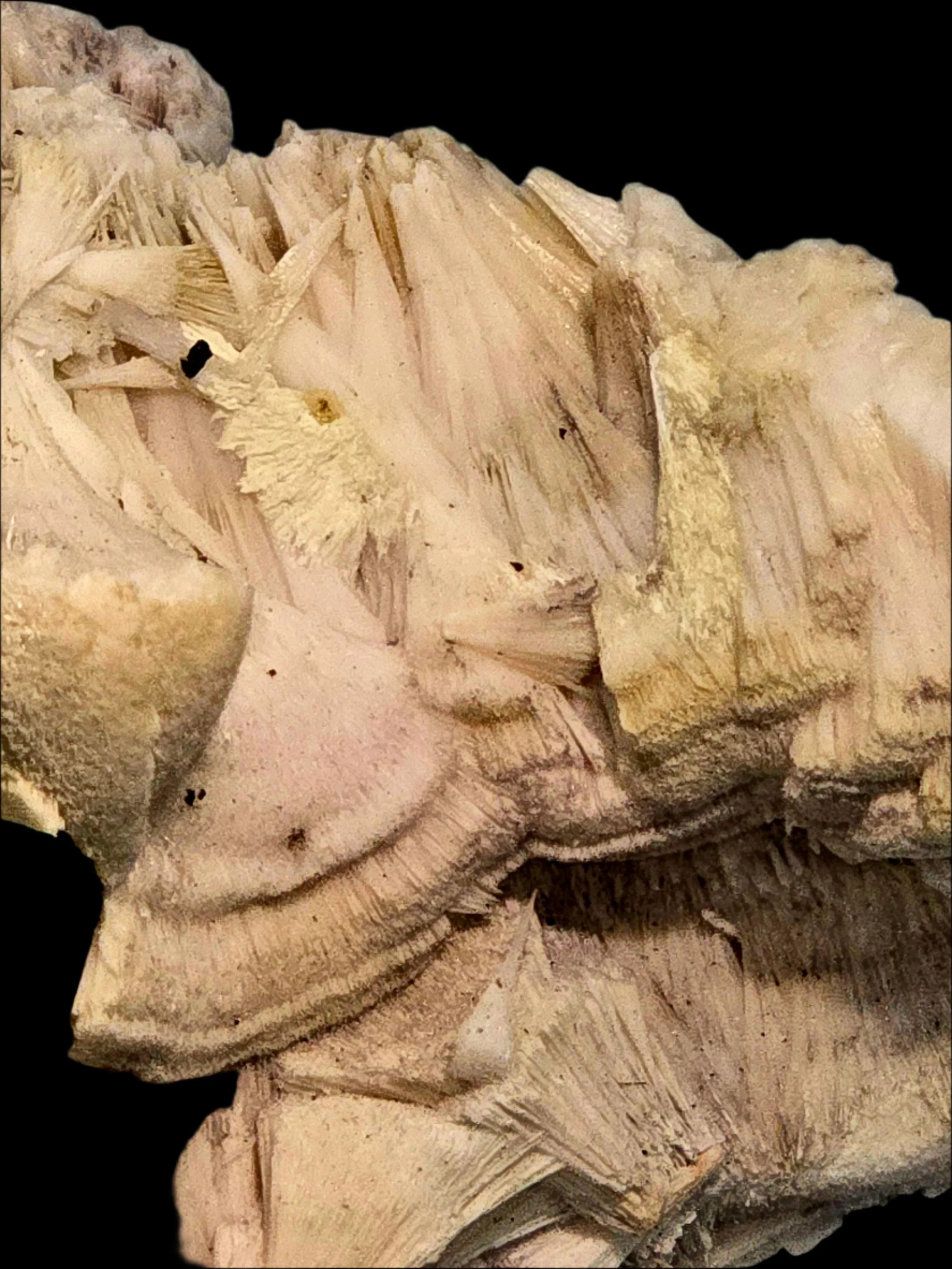 Gypsum crystal specimen with intricate fibrous formations and earthy tones, ideal for mineral collectors
