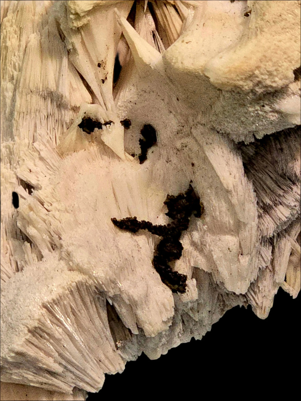 Gypsum desert rose crystal with intricate layered formation and earthy tones