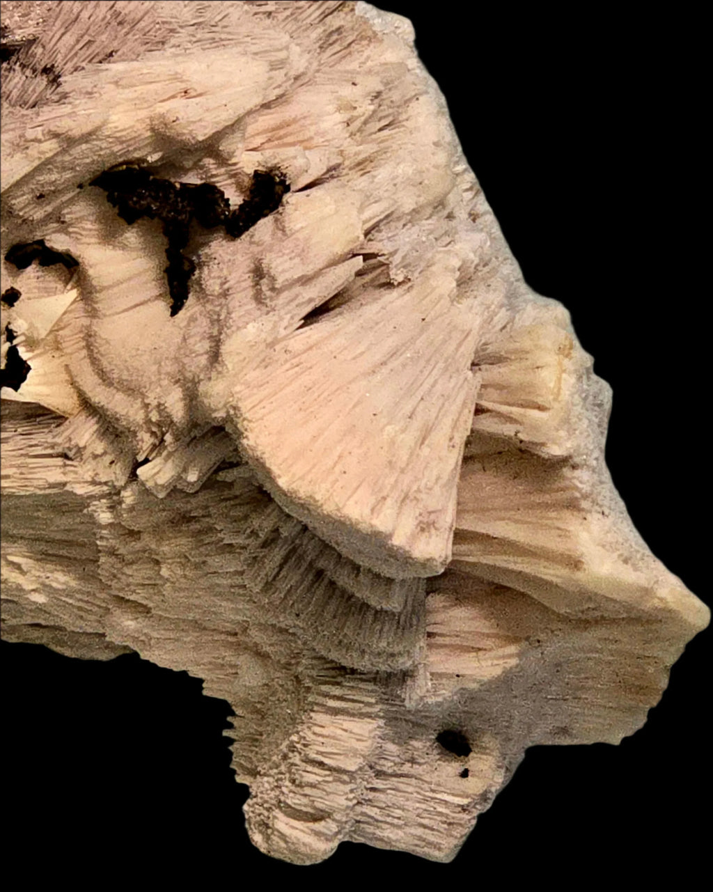 Gypsum crystal specimen with layered striations and earthy tones, ideal for mineral collectors