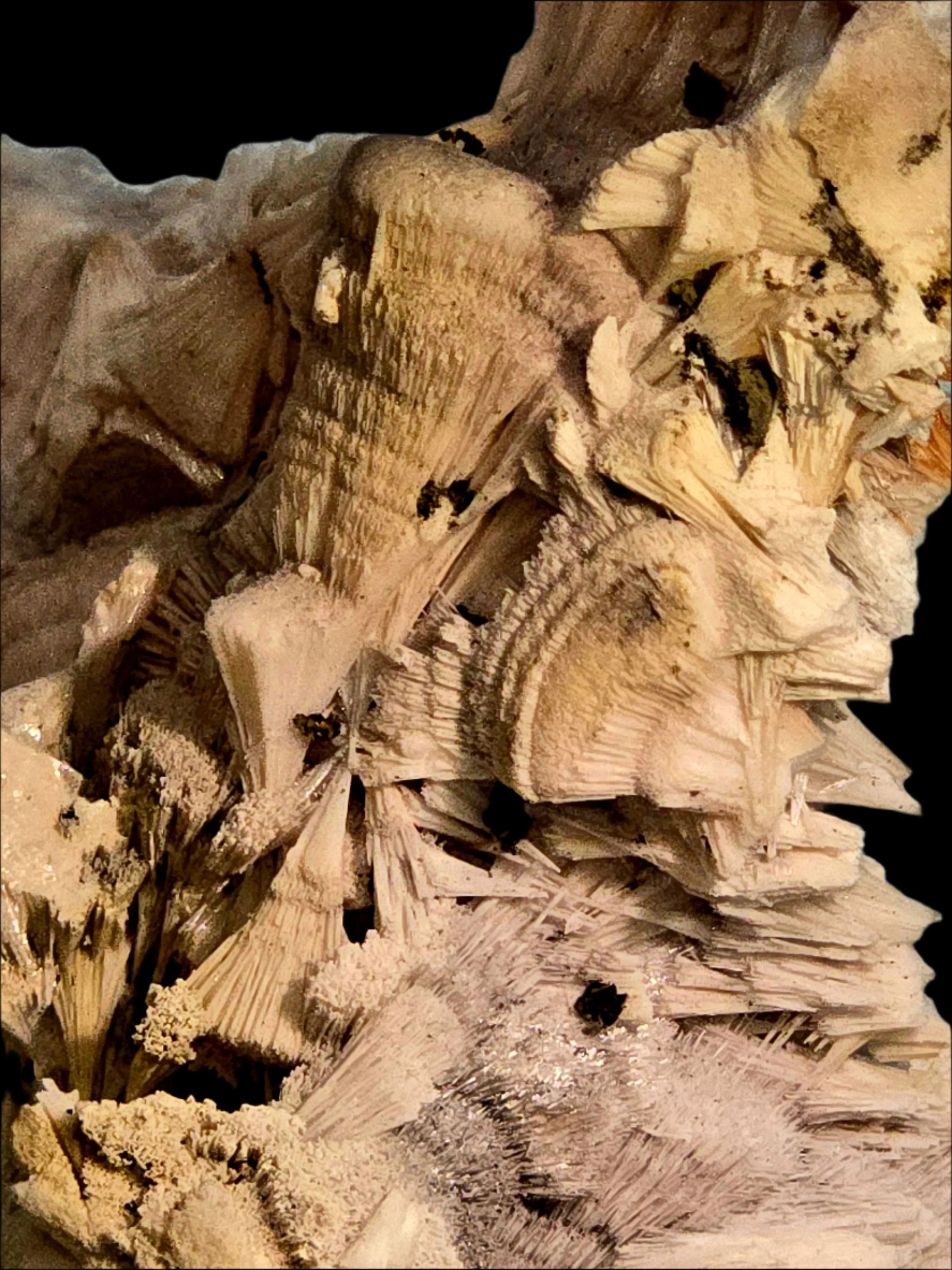 Desert Rose crystal formation with intricate layered petals, natural mineral specimen