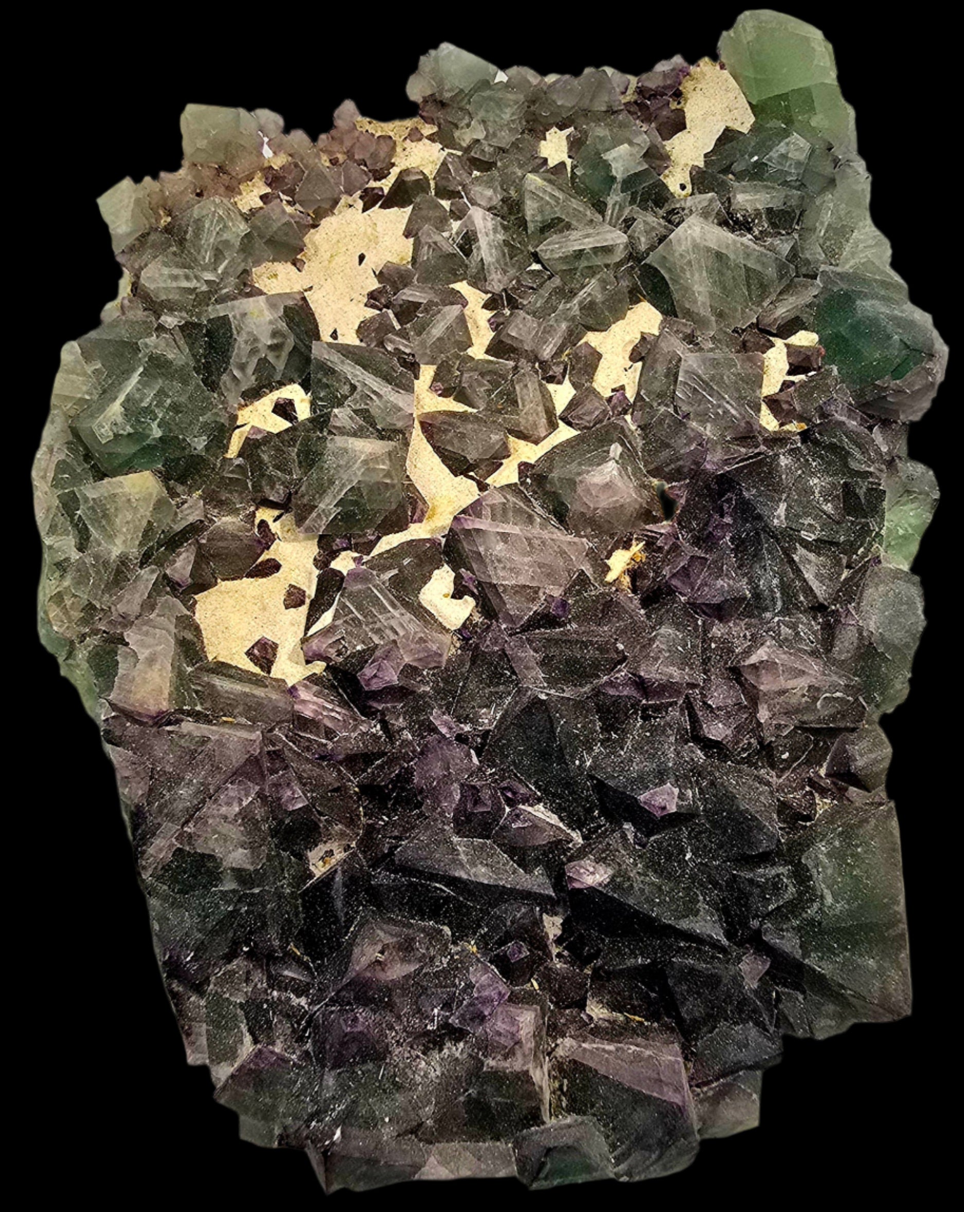 FLUORITE bi-color  (large cabinet)