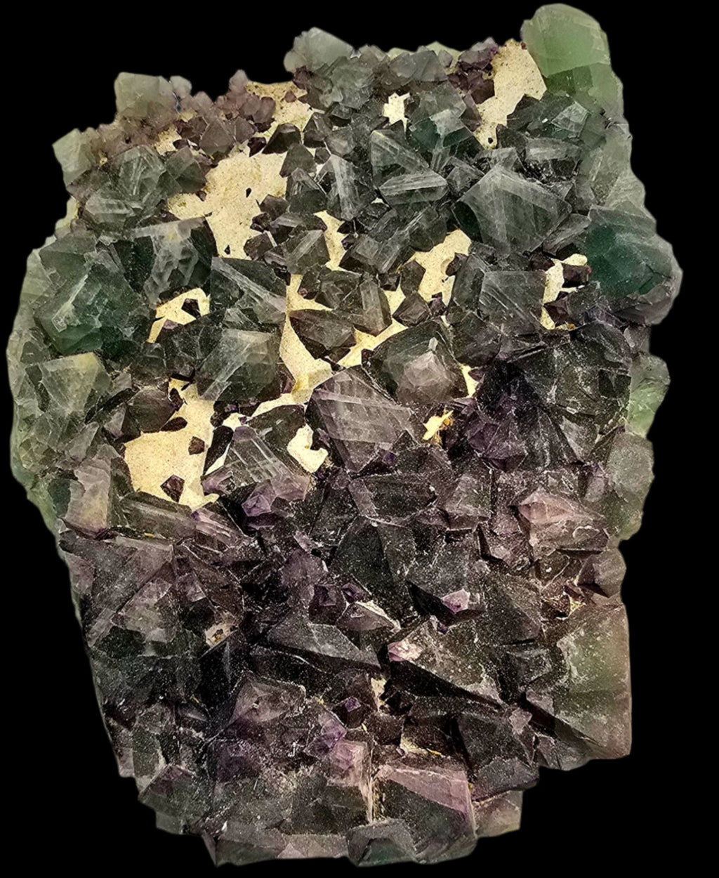 FLUORITE bi-color  (large cabinet)