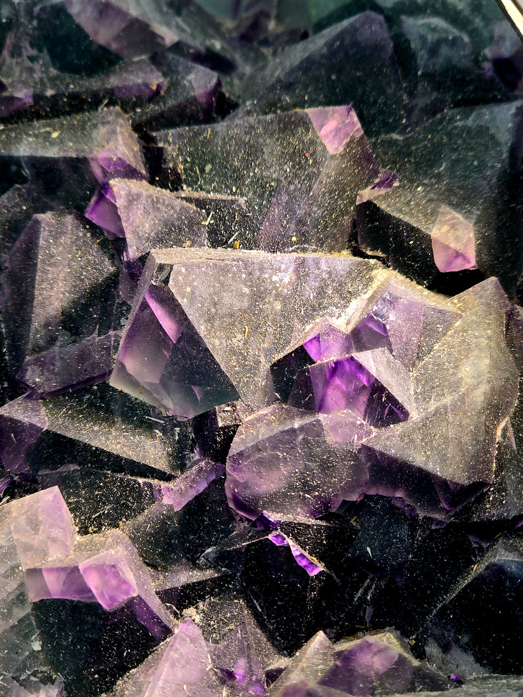 FLUORITE bi-color  (large cabinet)