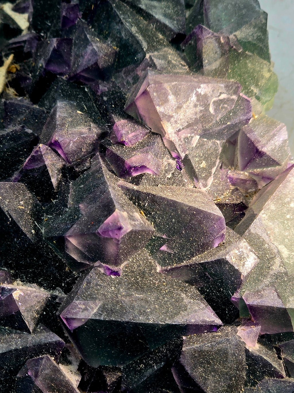 FLUORITE bi-color  (large cabinet)