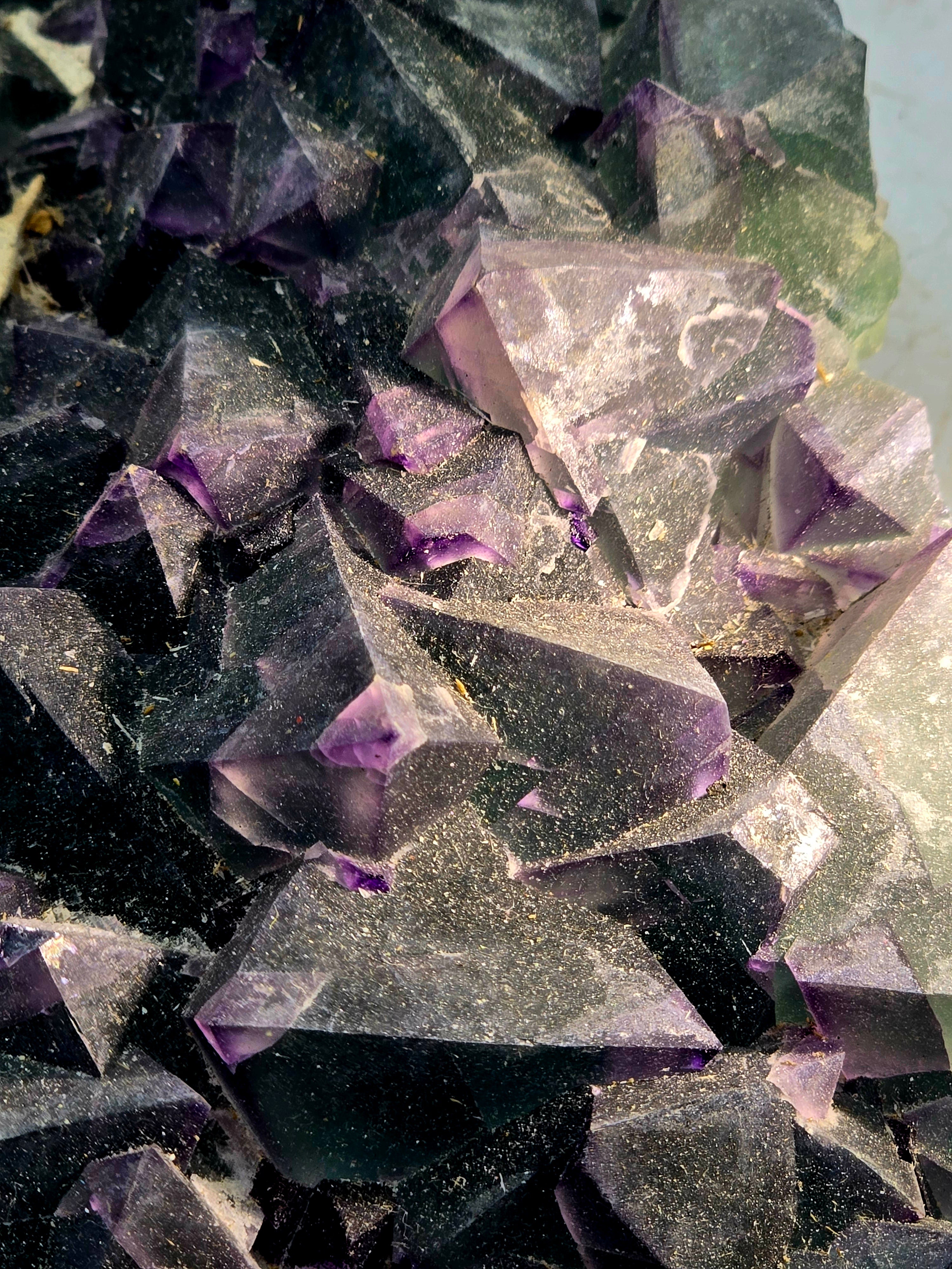 FLUORITE bi-color  (large cabinet)