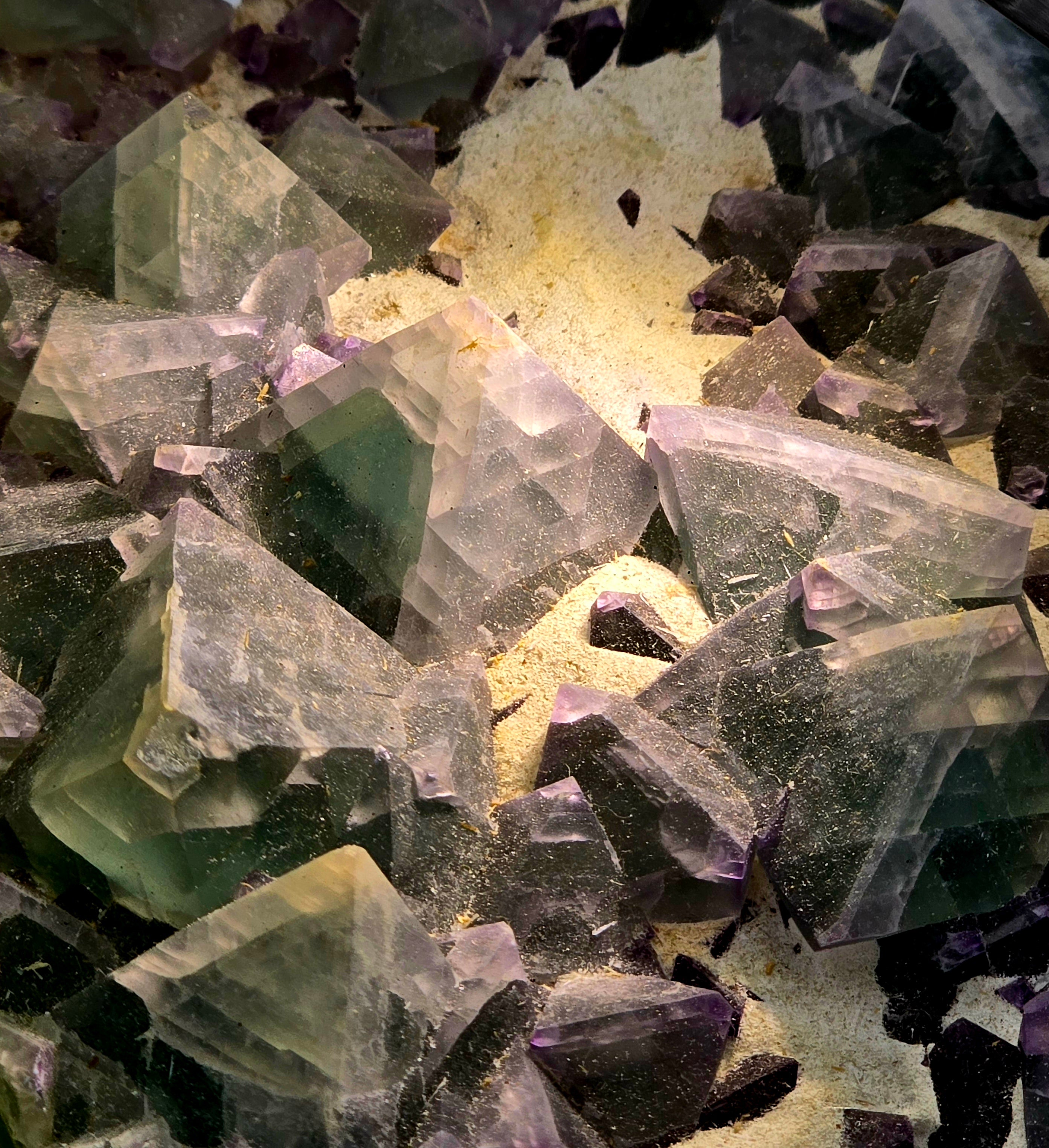 FLUORITE bi-color  (large cabinet)