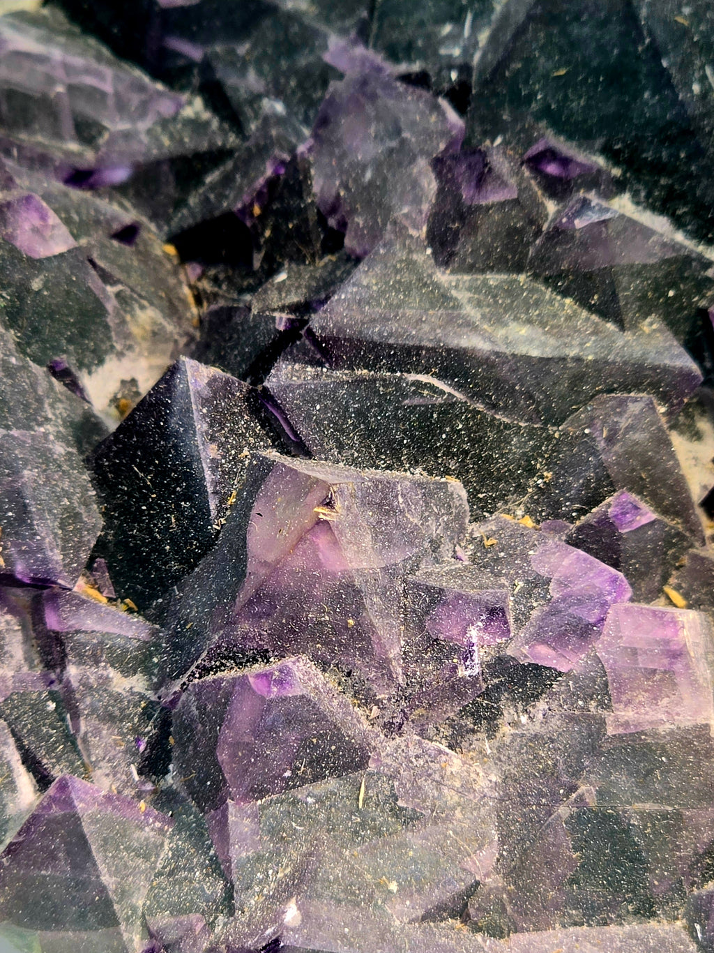 FLUORITE bi-color  (large cabinet)